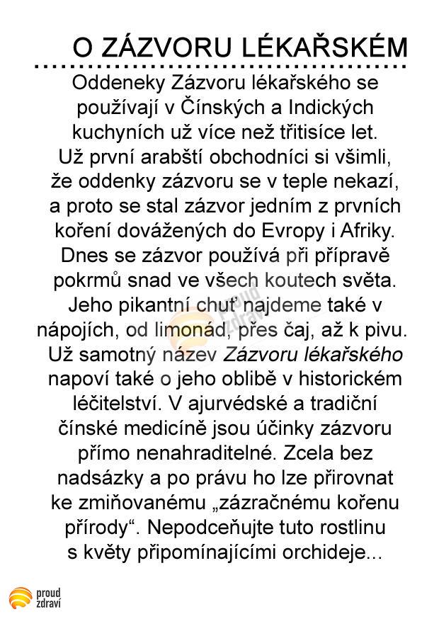 Sirup zázvor BIO 320 g