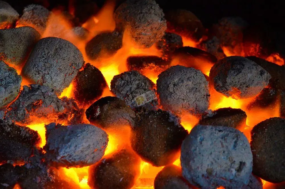 Grilovací brikety Servis Les 2,5 kg