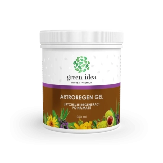 GREEN IDEA Artroregen masážní gel 250 ml