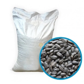 Slunečnice černá cena za 1 Kg na váhu